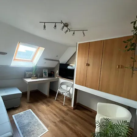 Type Loft Avec Terrasse アパート *