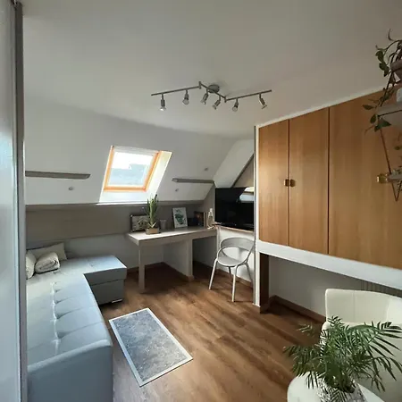 Type Loft Avec Terrasse