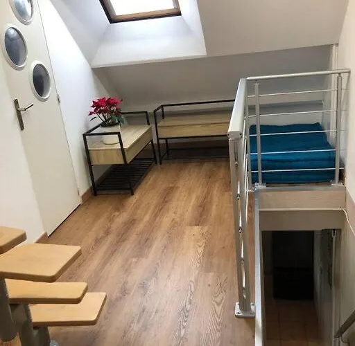 Type Loft Avec Terrasse