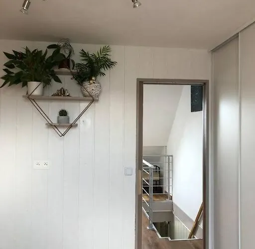 Type Loft Avec Terrasse *