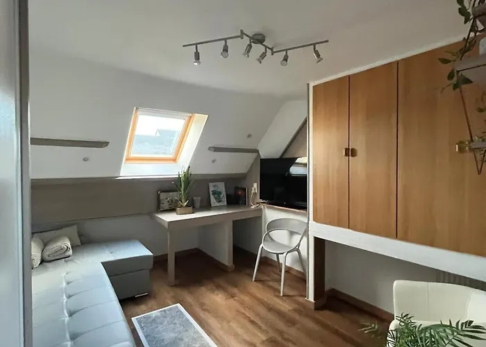 Type Loft Avec Terrasse